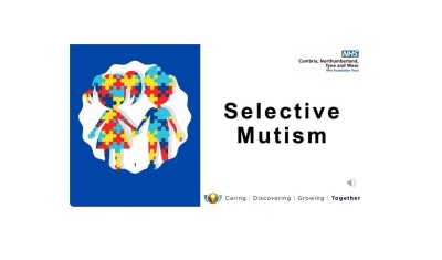 Understanding Selective Mutism: A webinar for Parents and Carers page thumbnail image