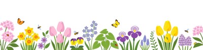 Neuro diversity Celebration week March 17th- 23rd and World Autism Acceptance Day 2nd April. page thumbnail image
